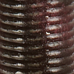 Red Shad