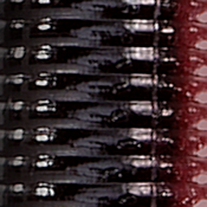 Red Shad
