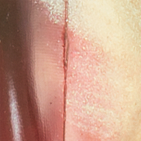 Red Shiner
