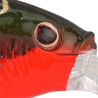 Red Tiger