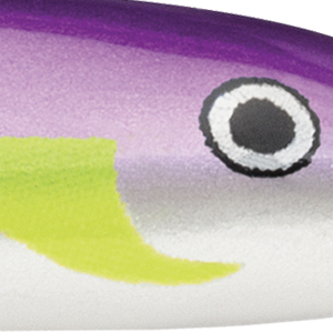 Regal Shad
