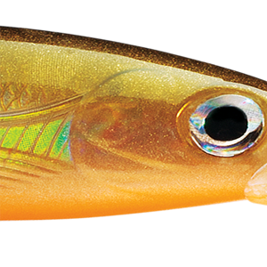 River Perch