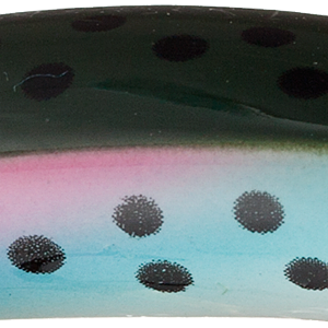 Rainbow Trout