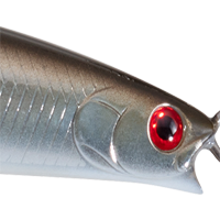 Sand Eel