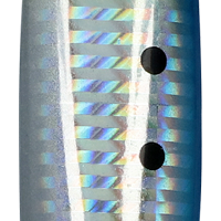 Sardine