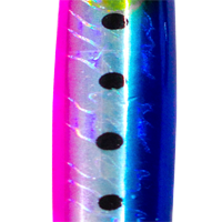 Sardine
