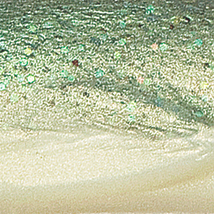 Sardine