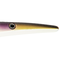 Scaly Shad