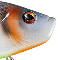Sexier Shad