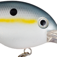 Sexy Shad