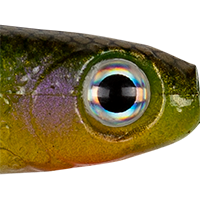 Sexy Perch UV