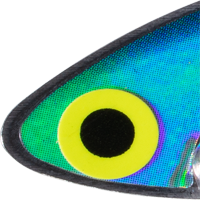 Sexy Shad