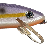 Sexy Shad