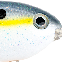 Sexy Shad
