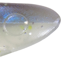 Sexy Shad