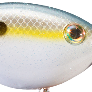 Sexy Shad