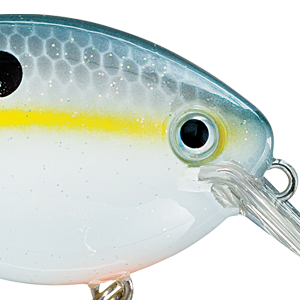 Sexy Shad