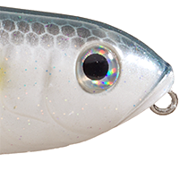 Sexy Shad