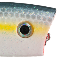 Sexy Shad