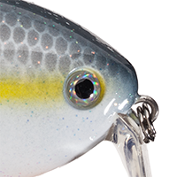 Sexy Shad