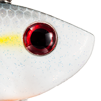 Sexy Shad