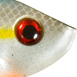 Sexy Shad