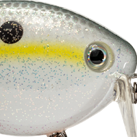 Sexy Shad