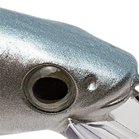 Sexy Shad 2.0