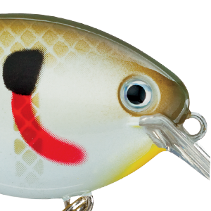 Sexy Sunfish