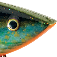 Sexy Sunfish