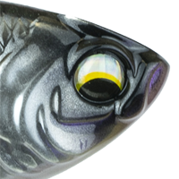 Shad Burst