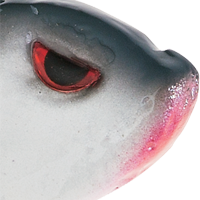 Shad Dot