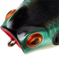 Shad Frog