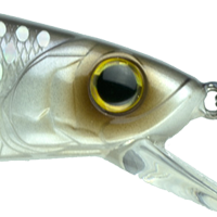 Shad Pro