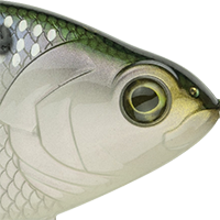 Shad Scale