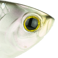Shad Scales