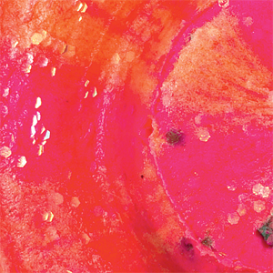 Sherbet Burst
