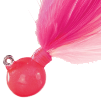 Cerise/Shrimp