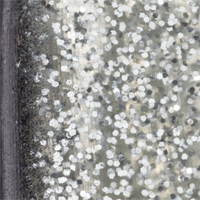 Silver/Black