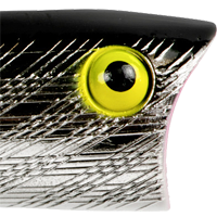 Silver/Black