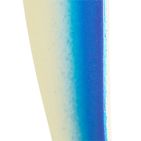 Silver/Blue
