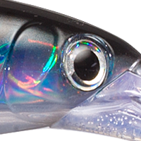 Silver Blue Mackerel