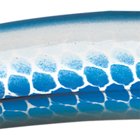 Silver/Blue Scale