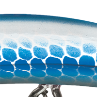 Silver/Blue Scale