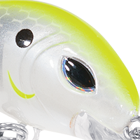 Silver Chartreuse