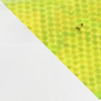 Silver/Chartreuse Flash