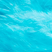 Silver Doctor Blue