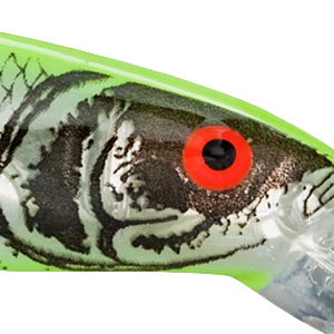 Silver Flash Chartreuse