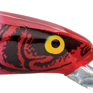 Silver Flash Red Head