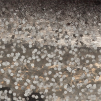 Silver Glitter/Black Back